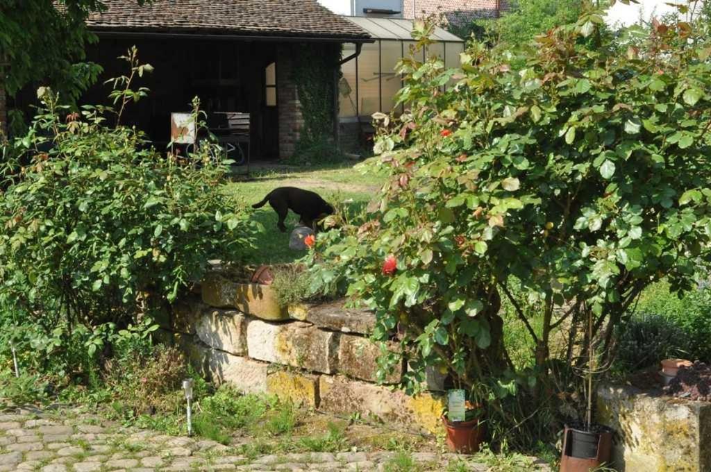 Gaestezimmer - Fuhrhalterei Maul Breuberg Buitenkant foto