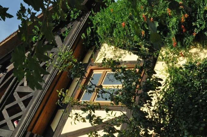 Gaestezimmer - Fuhrhalterei Maul Breuberg Buitenkant foto
